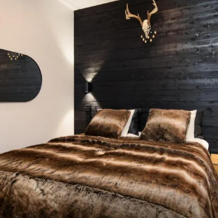 C9 By Aavalevi Holidays, Ski-in Ski-out Apartment Levi