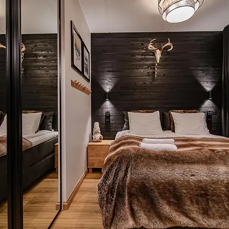 C9 Ski-in Ski-out By Aavalevi Apartment