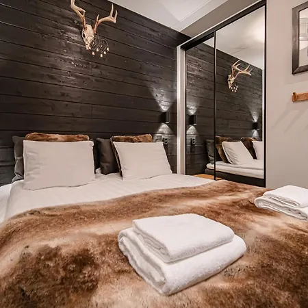 C9 Ski-in Ski-out By Aavalevi Apartment *