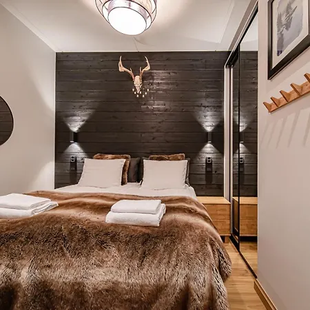 C9 Ski-in Ski-out By Aavalevi Apartment