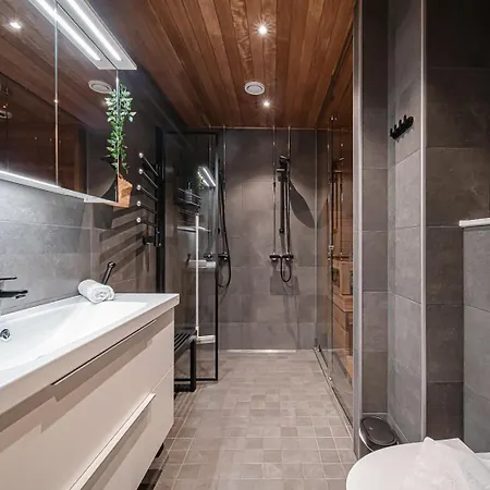 C9 Ski-in Ski-out By Aavalevi Levi