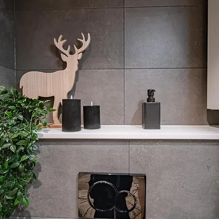 C9 Ski-in Ski-out By Aavalevi Appartement *