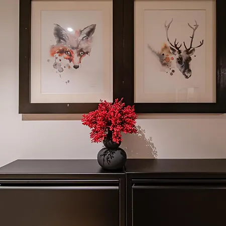 Appartement C9 Ski-in Ski-out By Aavalevi *