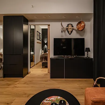 C9 Ski-in Ski-out By Aavalevi Levi