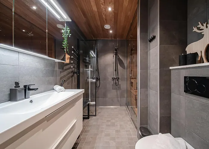 C9 Ski-in Ski-out By Aavalevi Levi