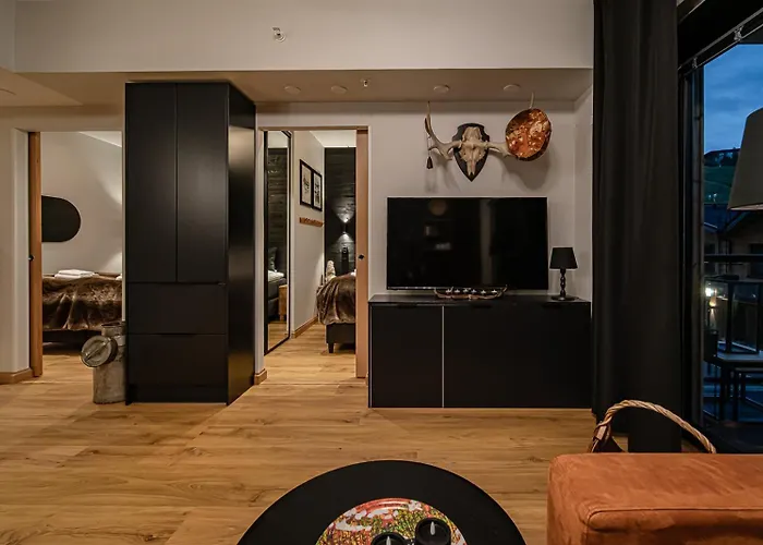 C9 Ski-in Ski-out By Aavalevi Levi